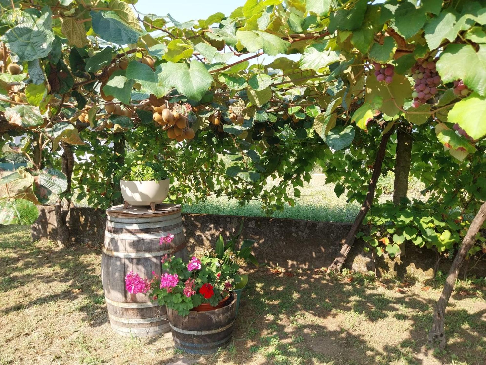 O Berce Padron Casa Rural 외부 사진